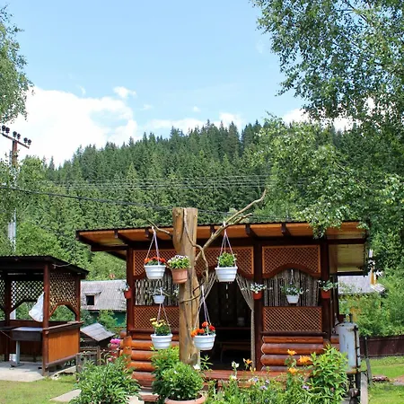 Guest house 